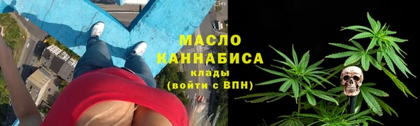 стаф Верея