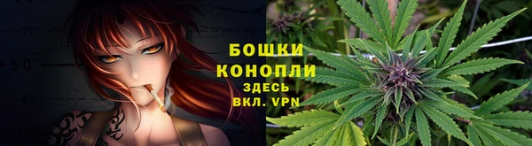 стаф Верея