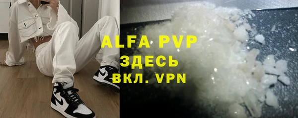 стаф Верея