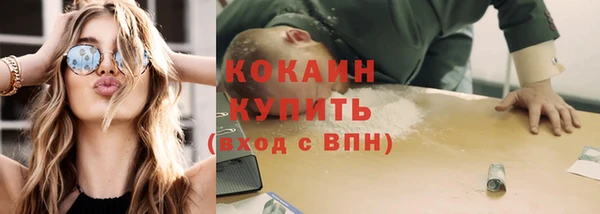стаф Верея