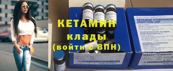 стаф Верея